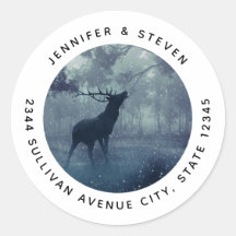 Cerf avec Antlers dans une forêt ombragée - Adress
