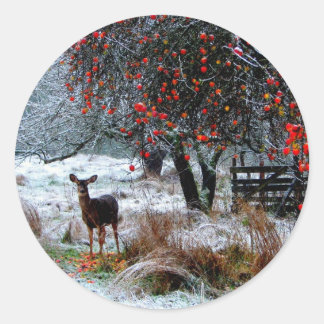 Sticker Rond Cerf en hiver