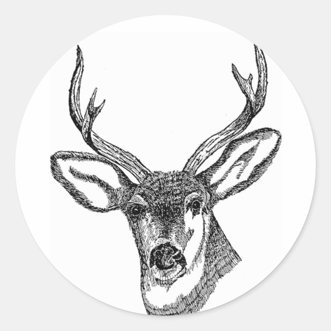 Sticker Rond Cerf noir et blanc (Devant)