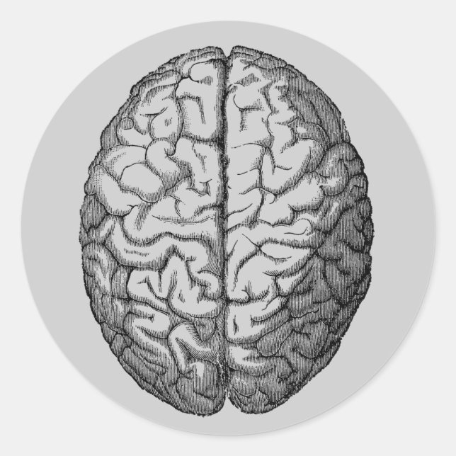 Sticker Rond Cerveau (Devant)