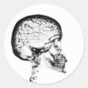 STICKER ROND CERVEAU-CIEL X-RAY - NOIR ET BLANC