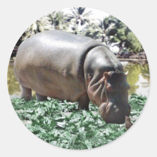 Sticker Rond C'est bon que nous soyons différents, nous pouvon