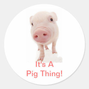 Sticker Rond C'est un cochon