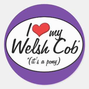 Sticker Rond C'est un poney ! J'aime mon épi de Gallois
