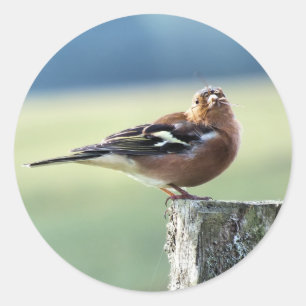 STICKER ROND CHAFFINY