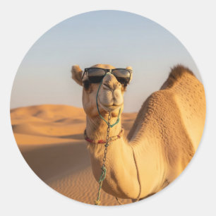 Sticker Rond Chameau avec lunettes de soleil Arabie Saoudite Vo