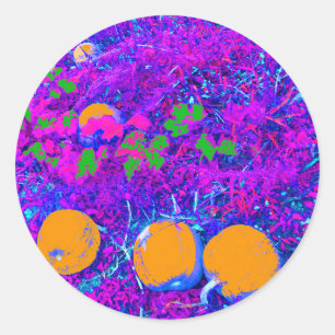 Sticker Rond Champ Citrouille purplé dans le style Pop Art