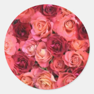 Sticker Rond CHAMP rose, rouge vif rose rouge vif