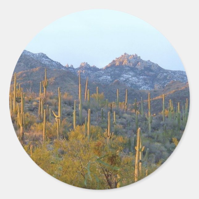 Sticker Rond Champ Sunlit Saguaro (Devant)