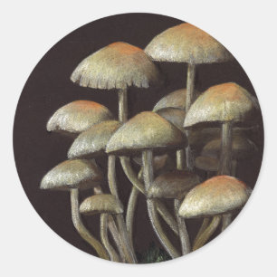 Sticker Rond Champignons