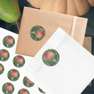 Sticker Rond Champignons agariques volants