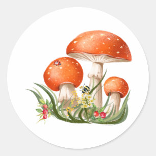 Sticker Rond Champignons sauvages de la forêt rouge Aquarelle N