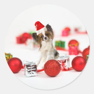 Sticker Rond Chapeau de Santa de Noël de chien Papillon mignon