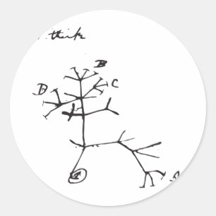 Sticker Rond Charles Darwin - je pense (le noir)