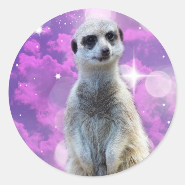 Sticker Rond Charme chatoyant : Meerkat sur Pink Bokeh Arrière  (Devant)