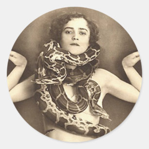 Sticker Rond Charmer serpent vintage Retro Femmes