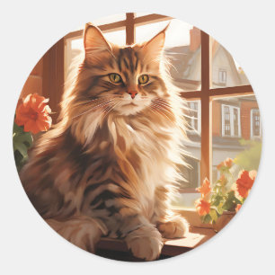 Sticker Rond Charming Maine Coon Chat