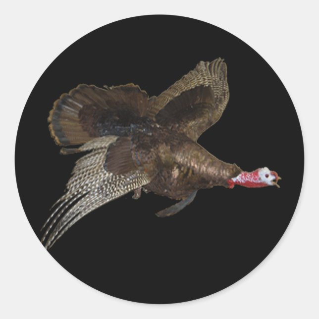 Sticker Rond Chasse à la Turquie sauvage (Devant)