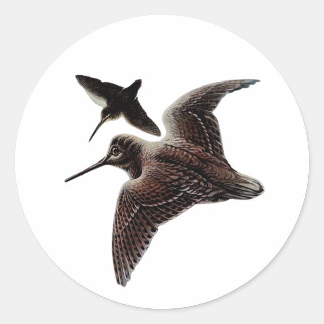 Sticker Rond Chasse au bois (Devant)
