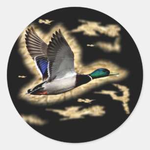 Sticker Rond Chasse au canard de Mallard