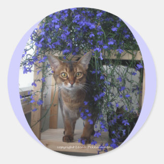 Sticker Rond Chat à fleurs (ovale)