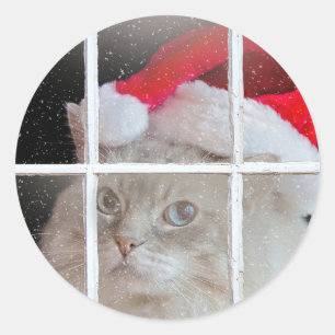Sticker Rond Chat à poupée de Noël dans la fenêtre