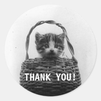 Sticker Rond Chat dans un panier photo Vintage - Merci