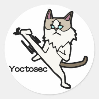Sticker Rond Chat des Lumières Yoctosec