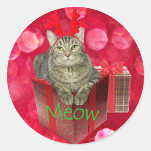 Sticker Rond Chat en attente de Père Noël