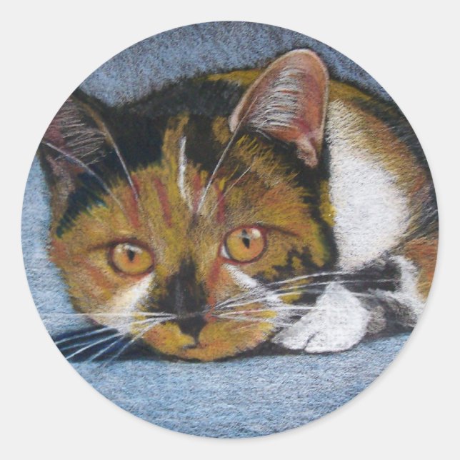 STICKER ROND CHAT EN COULEUR PENCIL : BALLES (Devant)