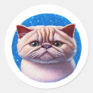 Sticker Rond Chat Exotique Shorthair