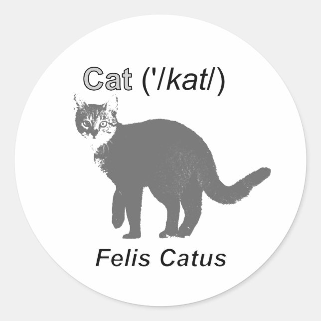 Sticker Rond Chat Felis Catus (Devant)