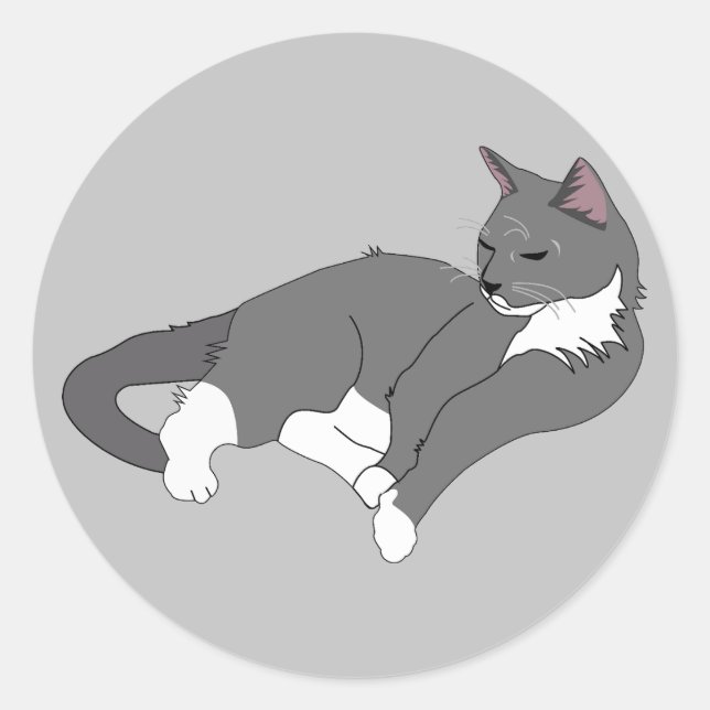 Sticker Rond Chat gris et blanc Tuxedo (Devant)