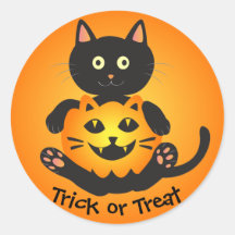 Chat Holding Jack-o'-Lantern