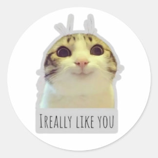 Sticker Rond chat mignon mème