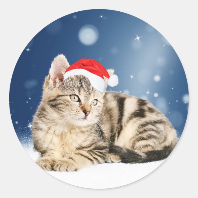 Sticker Rond Chat mignon portant chapeau de Noël rouge neige (Devant)