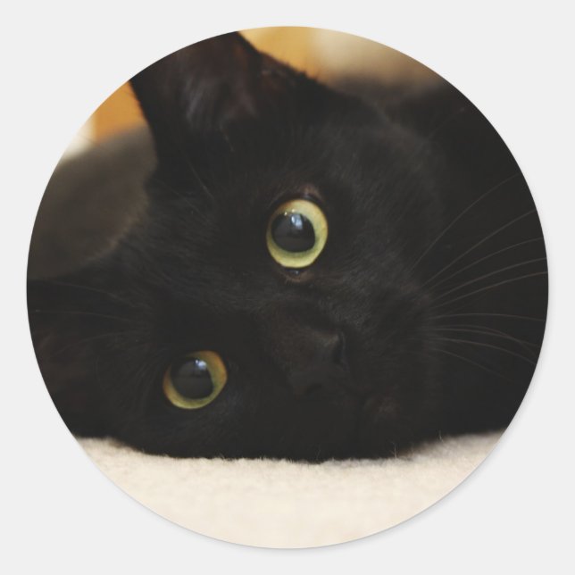 Sticker Rond Chat noir (Devant)