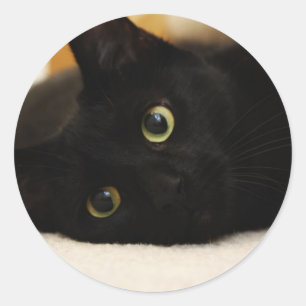 Sticker Rond Chat noir