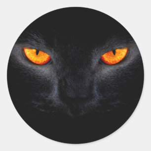 Sticker Rond Chat noir aux yeux orange
