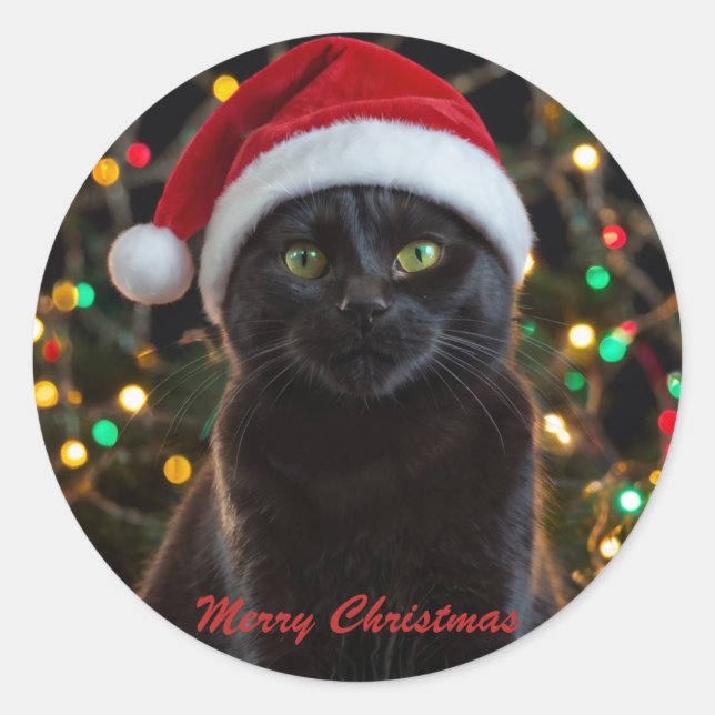 Sticker Rond Chat Noir de Noël - Chapeau de Père Noël Photo per (Devant)