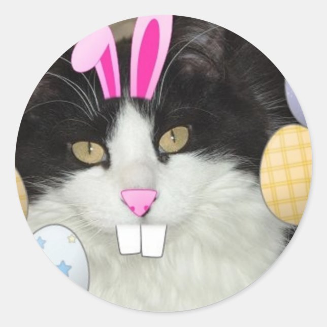 Sticker Rond Chat noir et blanc de l'Est (Devant)
