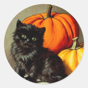 Sticker Rond Chat noir vintage d'Halloween et Citrouilles