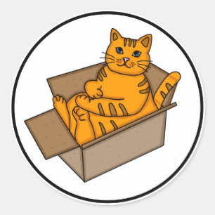 Sticker Rond Chat orange dans une boîte Drôle