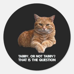 Sticker Rond Chat orange mignon