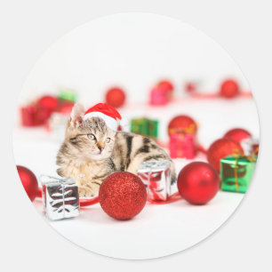 Sticker Rond Chat portant le chapeau rouge du Père Noël