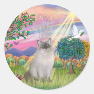 Sticker Rond Chat Ragdoll (Point Bleu) - Ange des Nuages