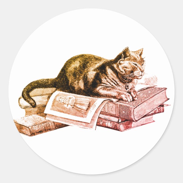 Sticker Rond Chat Se Trouvant Sur Une Pile De Livre (Devant)