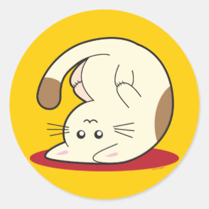 Sticker Rond Chat supérieur