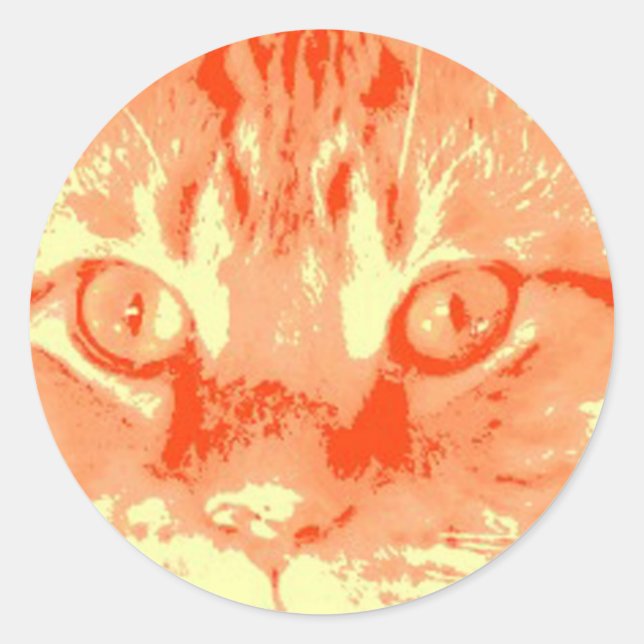 Sticker Rond Chat Tabby Orange (Devant)