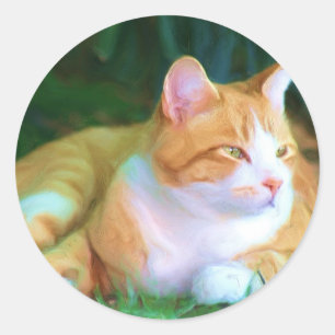 Sticker Rond Chat Tabby Orange
